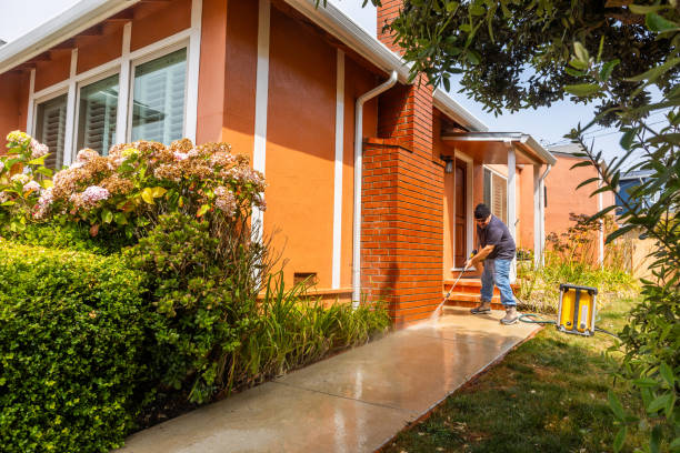 Best Exterior Home Cleaning  in Eustis, FL