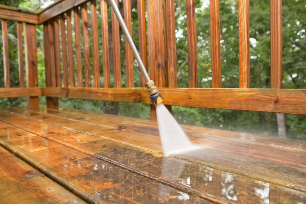 Best Deck Cleaning Services  in Eustis, FL