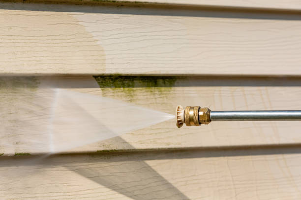 Best Deck Pressure Washing  in Eustis, FL
